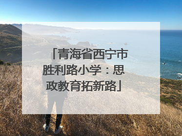 青海省西宁市胜利路小学：思政教育拓新路