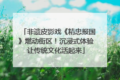 非遗皮影戏《精忠报国》燃动街区！沉浸式体验让传统文化活起来