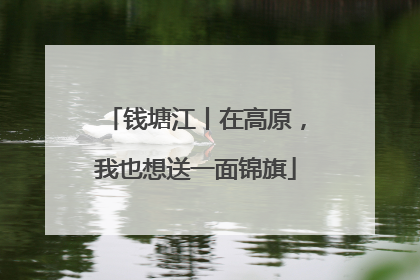 钱塘江丨在高原，我也想送一面锦旗