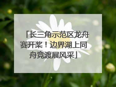 长三角示范区龙舟赛开桨！边界湖上同舟竞渡展风采