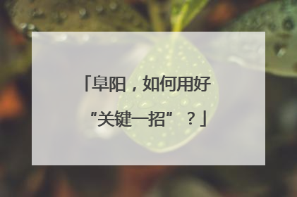 阜阳，如何用好“关键一招”？