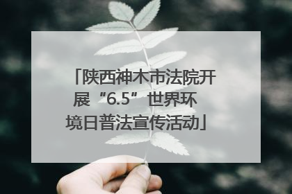 陕西神木市法院开展“6.5”世界环境日普法宣传活动