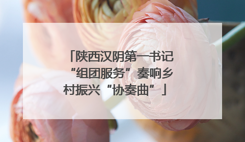 陕西汉阴第一书记“组团服务”奏响乡村振兴“协奏曲”