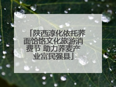 陕西淳化依托荞面饸饹文化旅游消费节 助力荞麦产业富民强县
