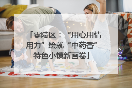 零陵区：“用心用情用力”绘就“中药香”特色小镇新画卷
