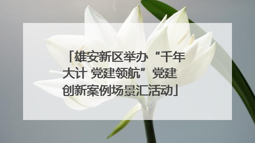 雄安新区举办“千年大计 党建领航”党建创新案例场景汇活动