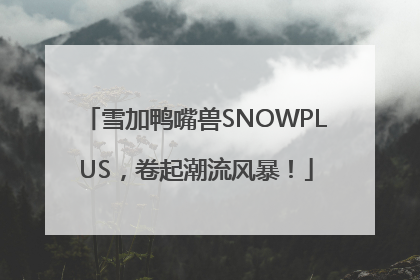 雪加鸭嘴兽SNOWPLUS，卷起潮流风暴！