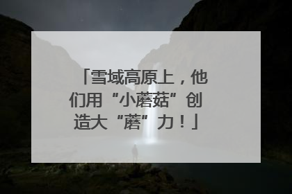 雪域高原上，他们用“小蘑菇”创造大“蘑”力！