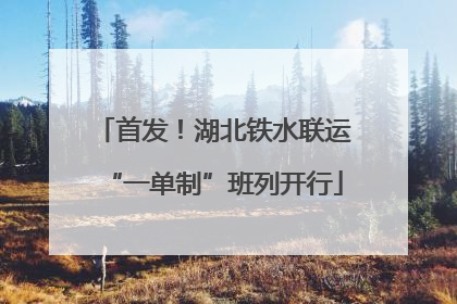 首发！湖北铁水联运“一单制”班列开行