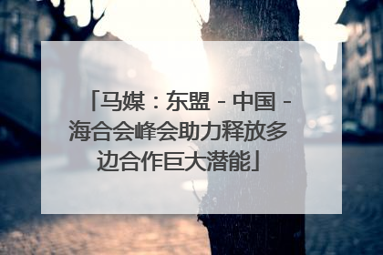 马媒：东盟－中国－海合会峰会助力释放多边合作巨大潜能