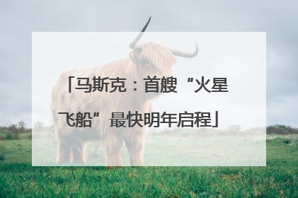 马斯克：首艘“火星飞船”最快明年启程