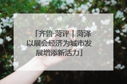 齐鲁·菏评｜菏泽以展会经济为城市发展增添新活力