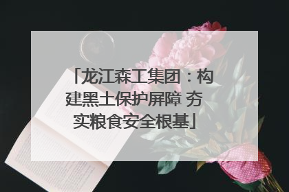 龙江森工集团：构建黑土保护屏障 夯实粮食安全根基