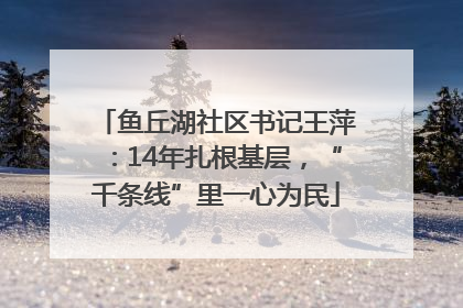 鱼丘湖社区书记王萍：14年扎根基层，“千条线”里一心为民