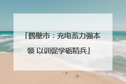 鹤壁市：充电蓄力强本领 以训促学砺精兵