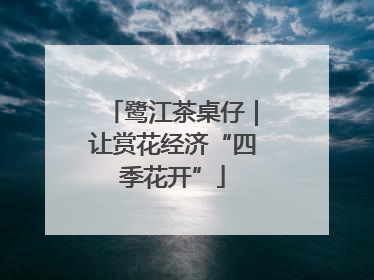 鹭江茶桌仔｜让赏花经济“四季花开”