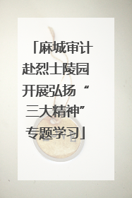 麻城审计赴烈士陵园开展弘扬“三大精神”专题学习