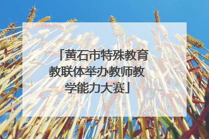黄石市特殊教育教联体举办教师教学能力大赛