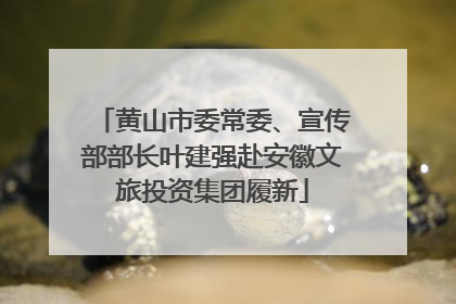 黄山市委常委、宣传部部长叶建强赴安徽文旅投资集团履新