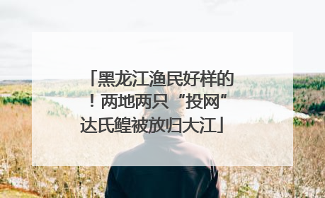 黑龙江渔民好样的！两地两只“投网”达氏鳇被放归大江