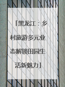 黑龙江：乡村旅游多元业态解锁田园生活新魅力
