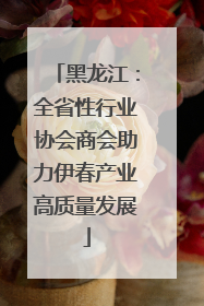 黑龙江：全省性行业协会商会助力伊春产业高质量发展