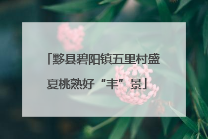 黟县碧阳镇五里村盛夏桃熟好“丰”景