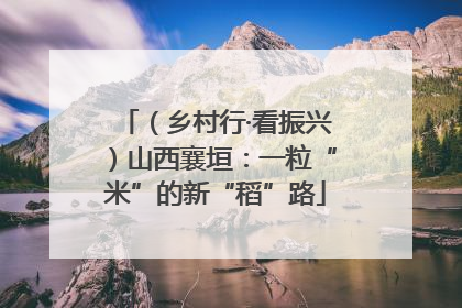 （乡村行·看振兴）山西襄垣：一粒“米”的新“稻”路
