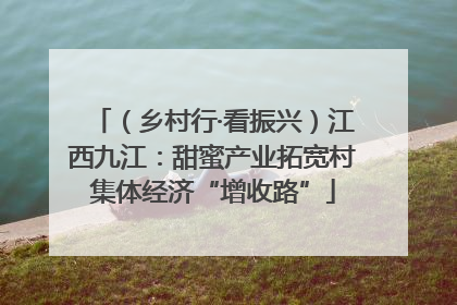 （乡村行·看振兴）江西九江：甜蜜产业拓宽村集体经济“增收路”