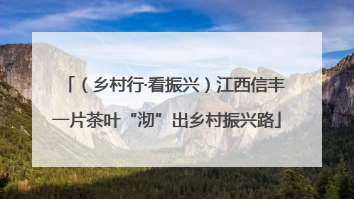 （乡村行·看振兴）江西信丰一片茶叶“沏”出乡村振兴路