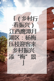（乡村行·看振兴）江西鹰潭月湖区：杨梅压枝迎客来 乡村振兴添“梅”景
