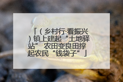 （乡村行·看振兴）镇上建起“土地驿站” 农田变良田撑起农民“钱袋子”