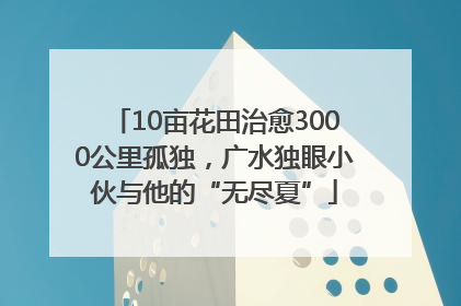 10亩花田治愈3000公里孤独，广水独眼小伙与他的“无尽夏”