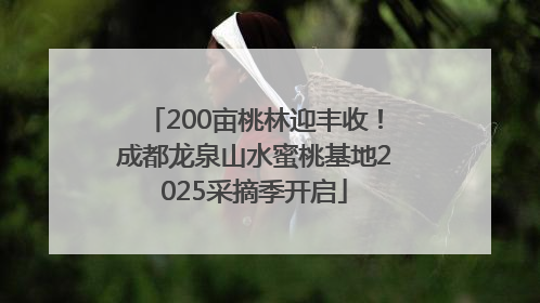 200亩桃林迎丰收！成都龙泉山水蜜桃基地2025采摘季开启
