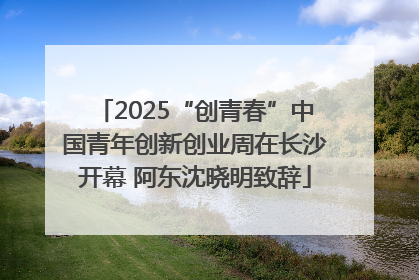 2025“创青春”中国青年创新创业周在长沙开幕 阿东沈晓明致辞