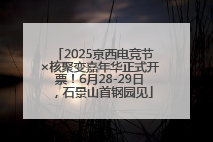 2025京西电竞节×核聚变嘉年华正式开票！6月28-29日，石景山首钢园见