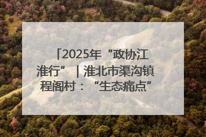 2025年“政协江淮行”｜淮北市渠沟镇程阁村：“生态痛点”变“生态景观”