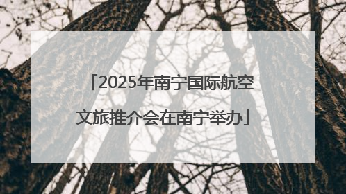 2025年南宁国际航空文旅推介会在南宁举办