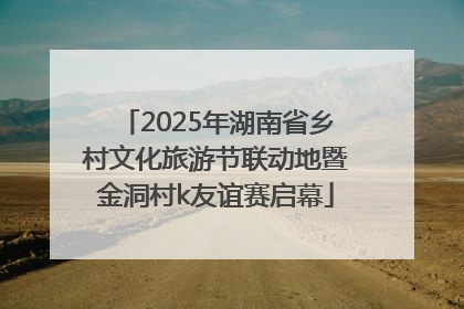 2025年湖南省乡村文化旅游节联动地暨金洞村k友谊赛启幕