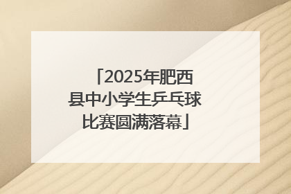 2025年肥西县中小学生乒乓球比赛圆满落幕