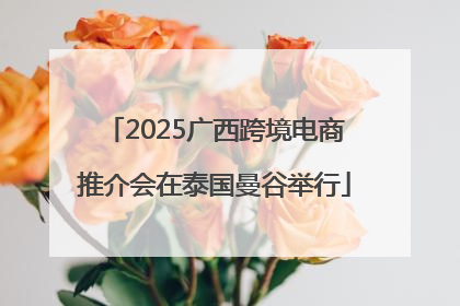 2025广西跨境电商推介会在泰国曼谷举行