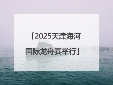 2025天津海河国际龙舟赛举行