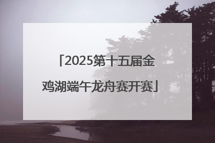 2025第十五届金鸡湖端午龙舟赛开赛