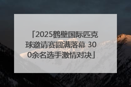 2025鹤壁国际匹克球邀请赛圆满落幕 300余名选手激情对决