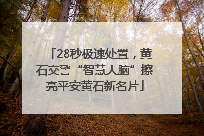 28秒极速处置，黄石交警“智慧大脑”擦亮平安黄石新名片