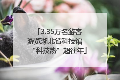 3.35万名游客游览湖北省科技馆 “科技热”超往年