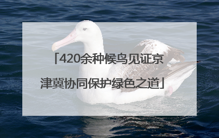 420余种候鸟见证京津冀协同保护绿色之道