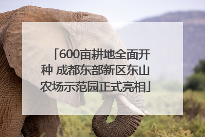 600亩耕地全面开种 成都东部新区东山农场示范园正式亮相