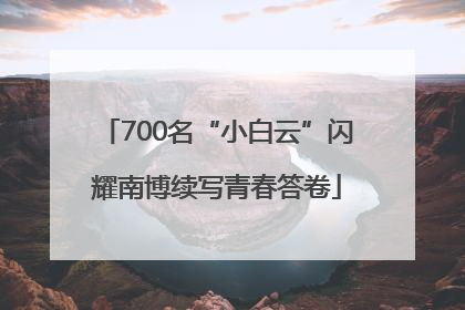 700名“小白云”闪耀南博续写青春答卷