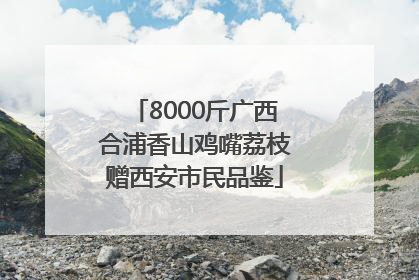 8000斤广西合浦香山鸡嘴荔枝赠西安市民品鉴